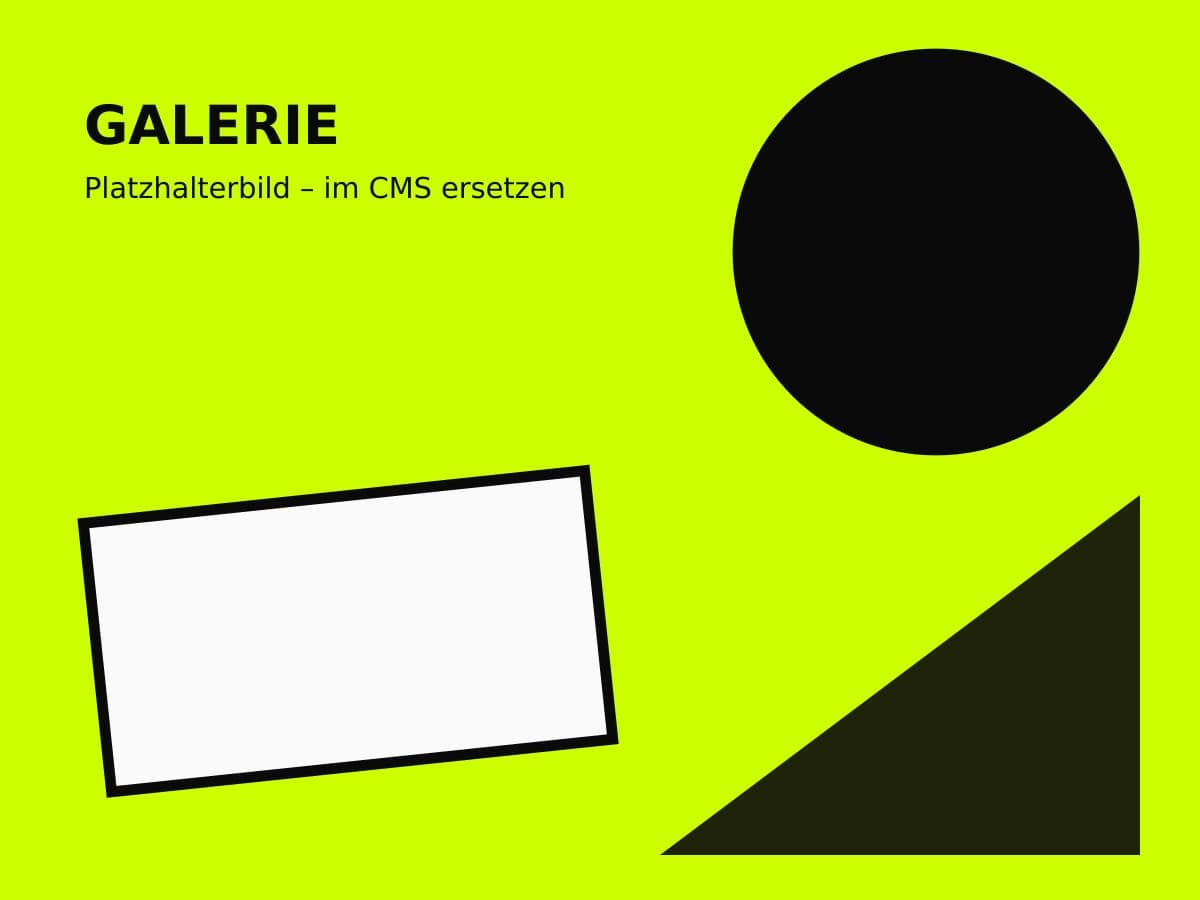 Platzhalterbild 2