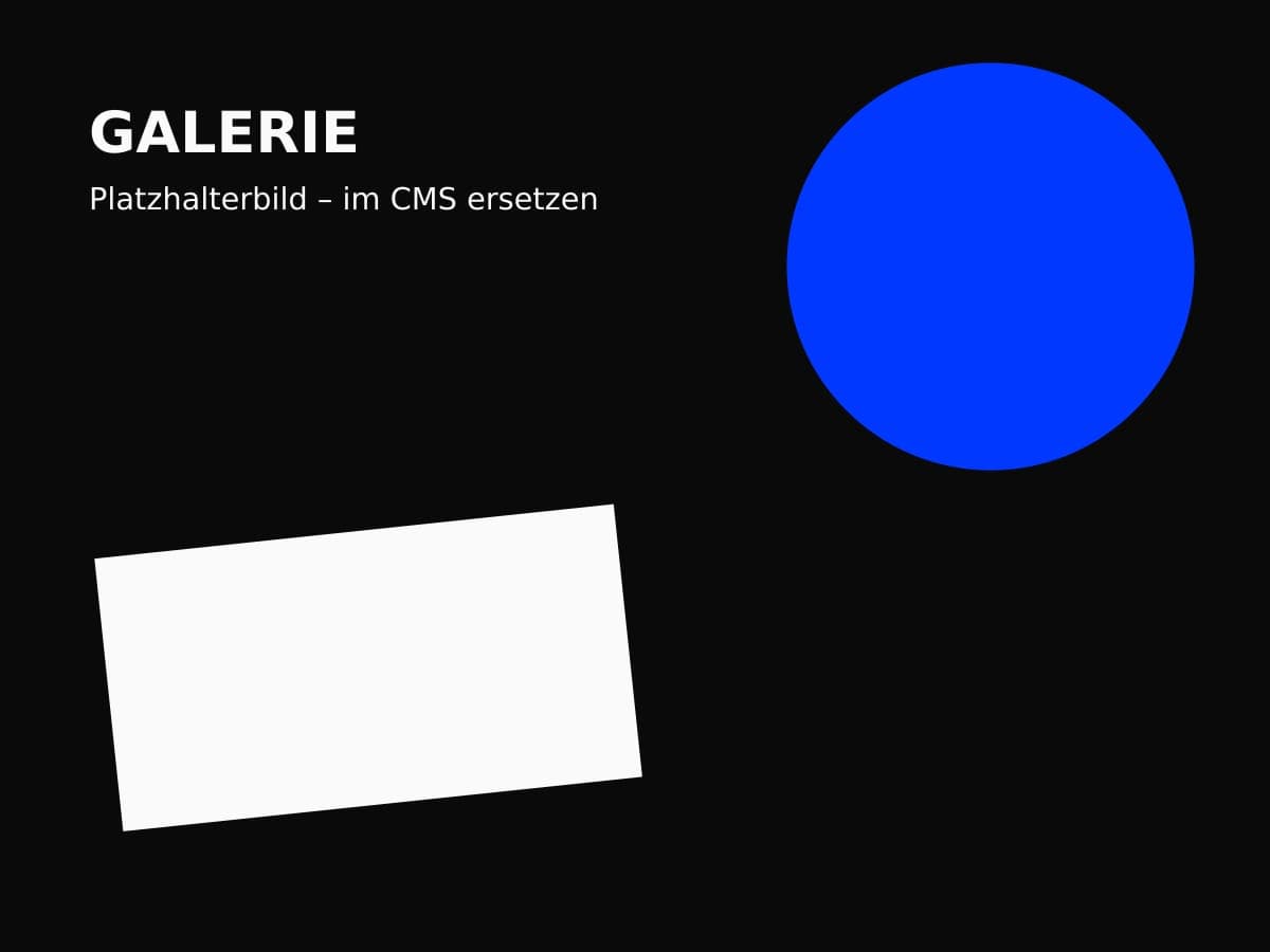 Platzhalterbild 3